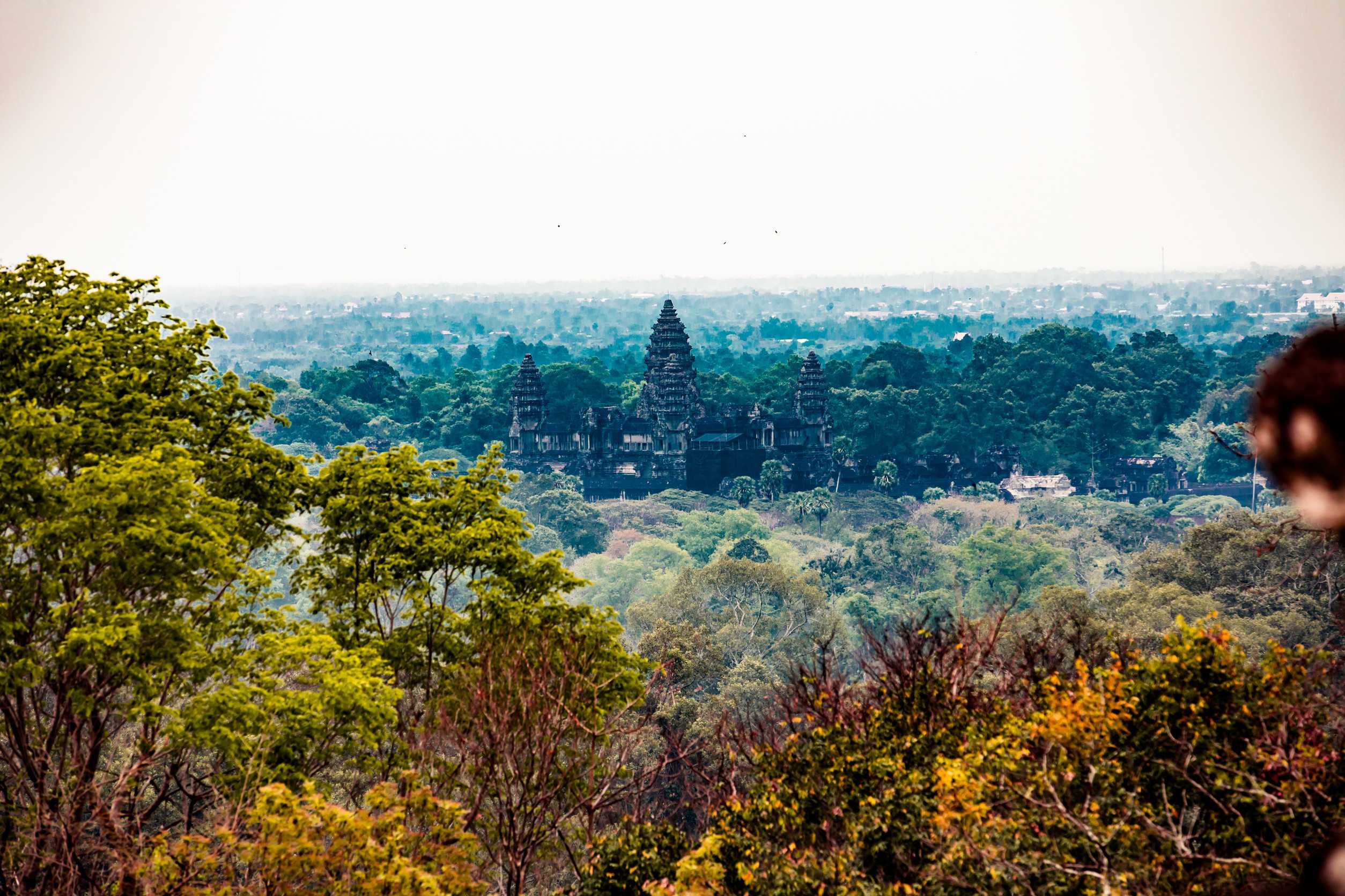 An Old Temple In Cambodia Full Of Plans And Trees Over Grown