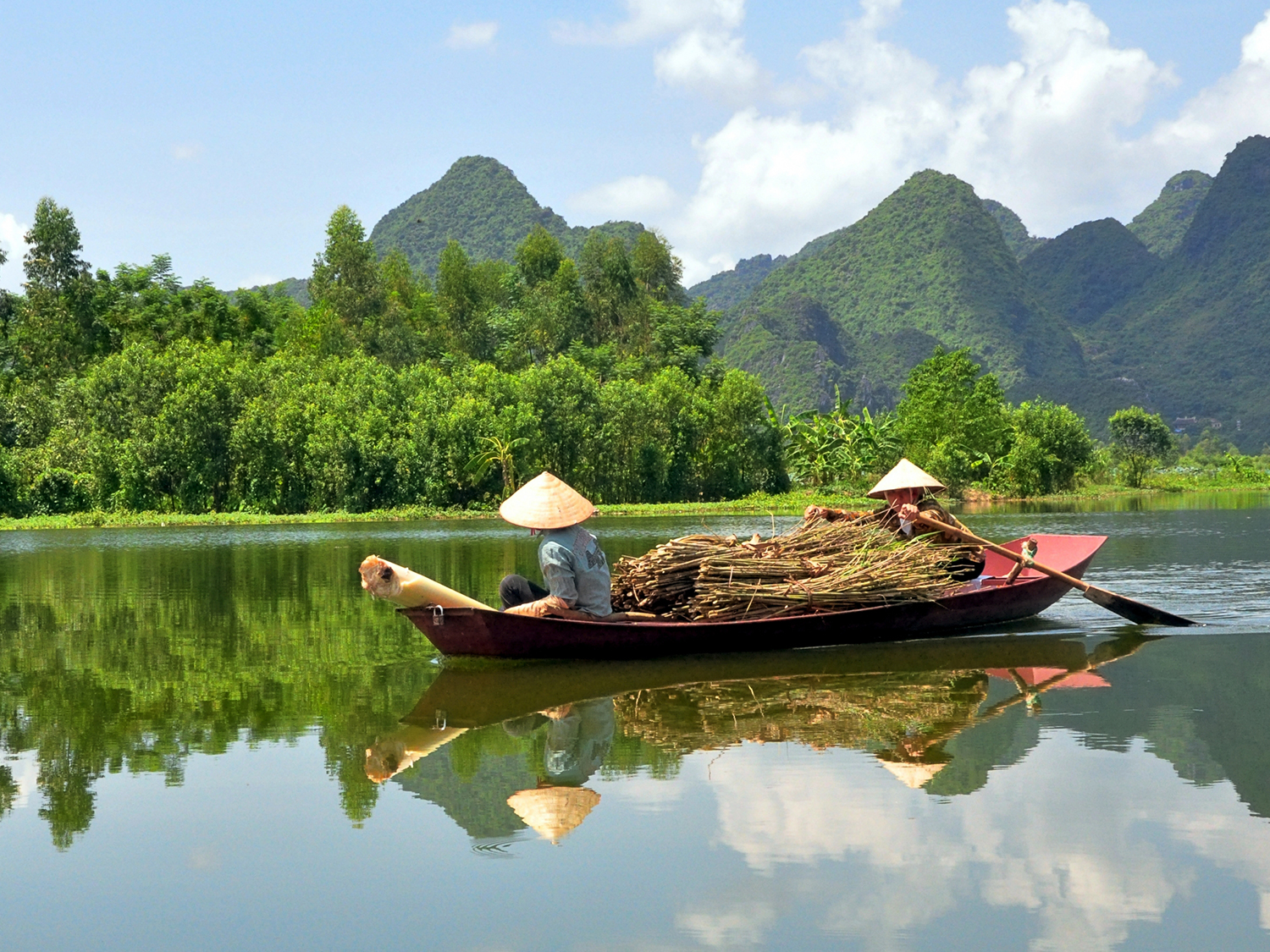Cardamom Mountains Cambodia