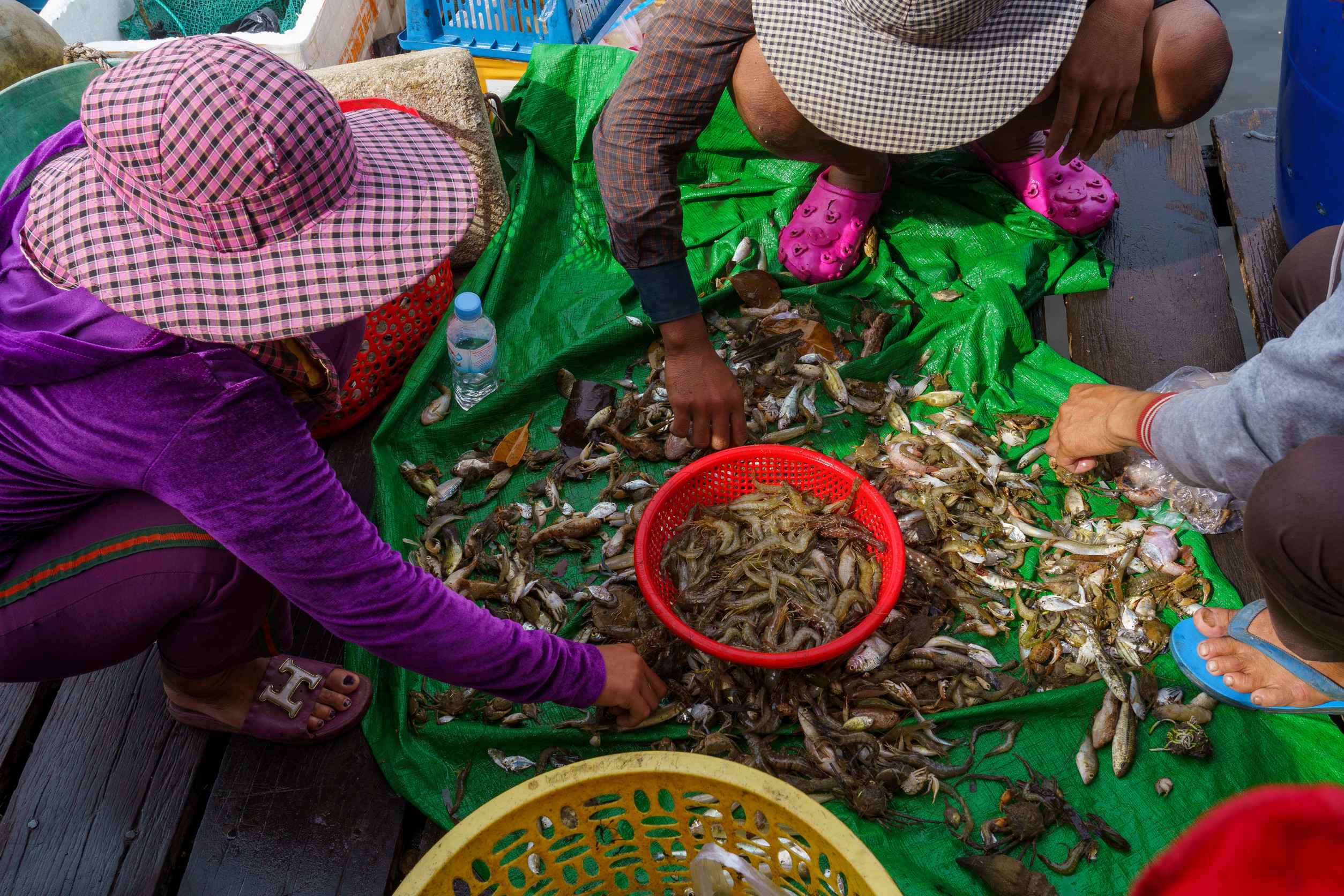 Fresh seafood selection at riverside market